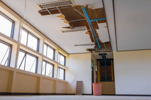 Best Water damage contractors near me  in Sea Cliff, NY