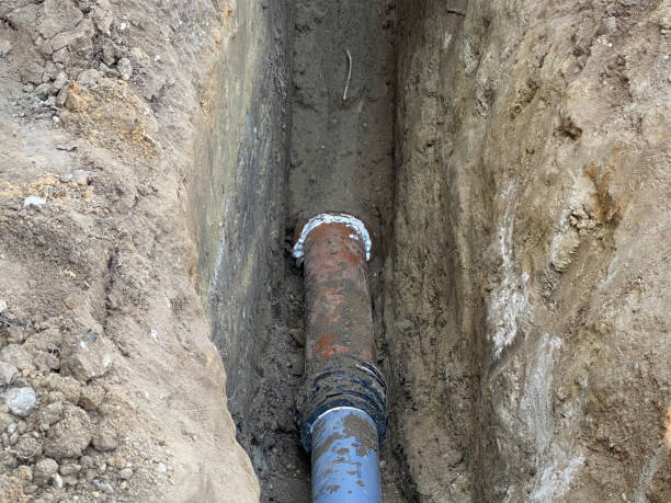 Best Professional water damage repair  in Sea Cliff, NY