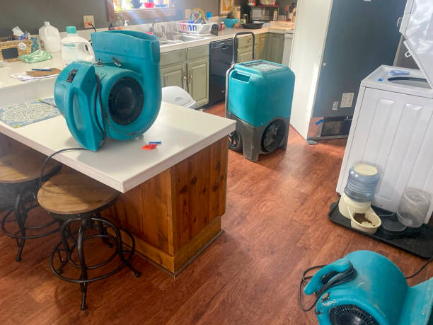 Best Residential water damage restoration  in Sea Cliff, NY