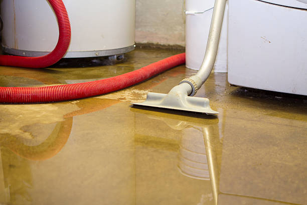 Best 24/7 water damage repair  in Sea Cliff, NY
