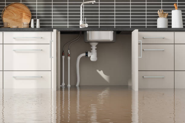 Best Water damage restoration cost  in Sea Cliff, NY